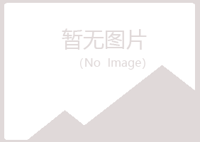 黄山黄山白山金属有限公司